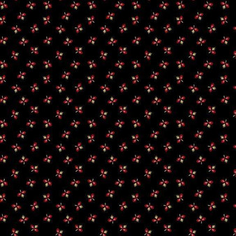 Prairie Dry Goods II R171651D Black One Yard