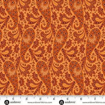 Nightfall A10203O One Yard
