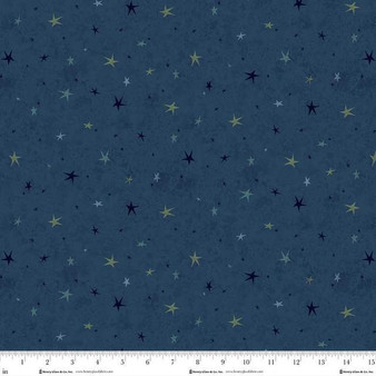Seeing Stars 3556 77 Indigo One Yard