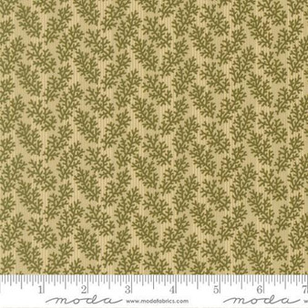 Miss Mollie 47565 13 One Yard
