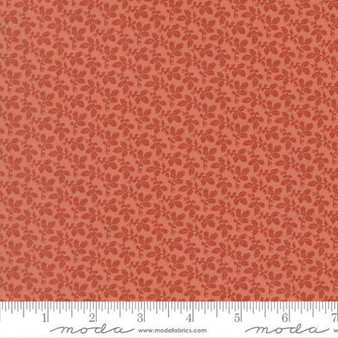Miss Mollie 47566 17 One Yard