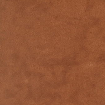 Flannel Gatherings Basics Pumpkin 1040 99F One Yard