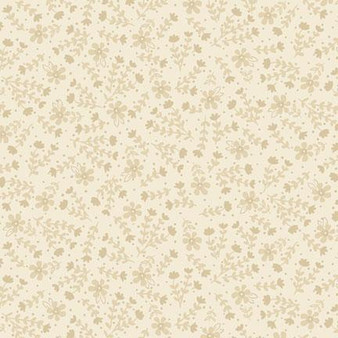 Apple Cider 18 AC1806421 NE One Yard