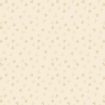 Apple Cider 18 AC1806423 NE One Yard