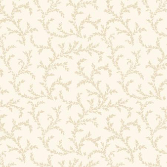 Apple Cider 18 AC1806418 E One Yard