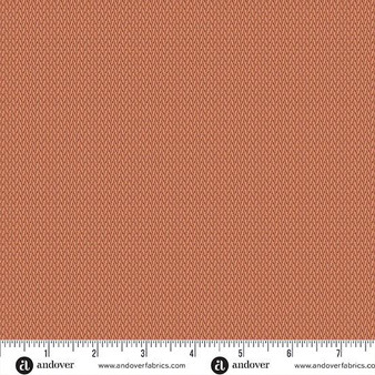 Secret Stash Favorites Amber 10550R One Yard