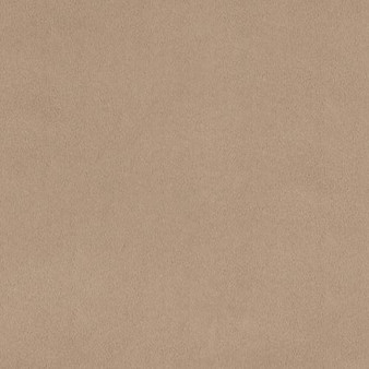 Solid Cuddle 3 Extra Wide 88/90" Simply Taupe One Yard