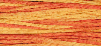 Weeks Dye Works Floss 2234 Autumn Leaves-5yds
