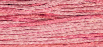 Weeks Dye Works Floss 2276 Camellia-5yds
