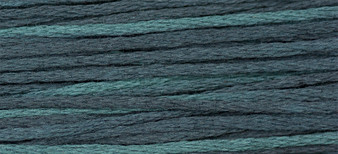 Weeks Dye Works Floss 2103 Pea Coat-5yds