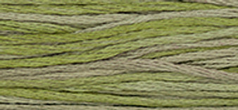 Weeks Dye Works Floss 1256 Thyme-5yds