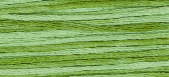 Weeks Dye Works Floss 2176 Meadow-5yds