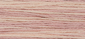 Weeks Dye Works Floss 1139 Chablis-5yds