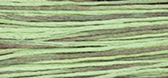 Weeks Dye Works Floss 1181 Cape Cod-5yds