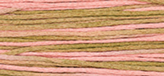 Weeks Dye Works Floss 2251 Mexicali-5 yds