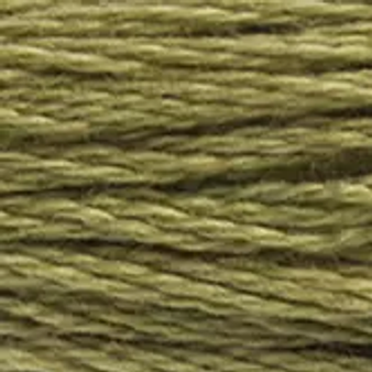DMC Embroidery Floss 8M 117-3012 Medium Khaki Green