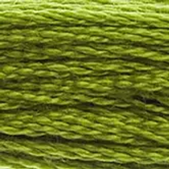 DMC  Embroidery Floss 8M 117-581 Moss Green