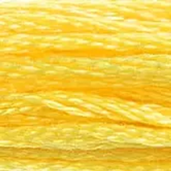 DMC  Embroidery Floss 8M 117-726 Light Topaz