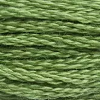 DMC  Embroidery Floss 8M 117-988 Medium Forest Green