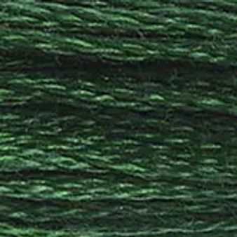 DMC  Embroidery Floss 8M 117-895 Very Dark Hunter Green