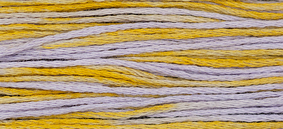 Weeks Dye Works Floss 1146 Clara -5 yds