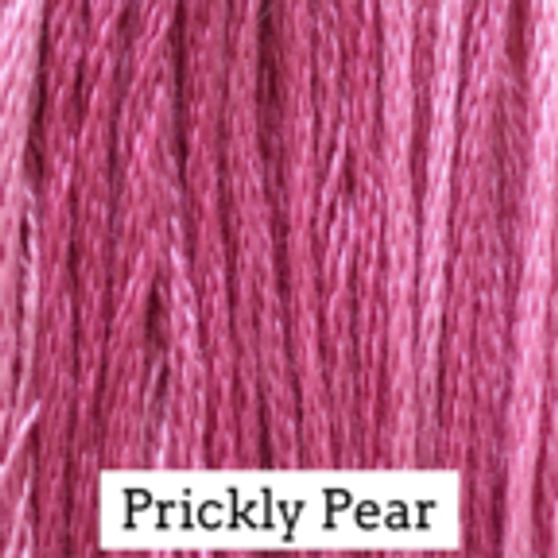 Classic Colorworks Hand Dyed Floss 5 yds Prickly Pear