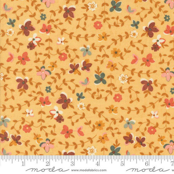 Acorn Hollow 30761 12 One Yard