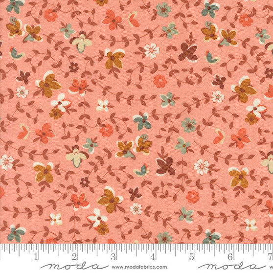 Acorn Hollow 30761 15 One Yard