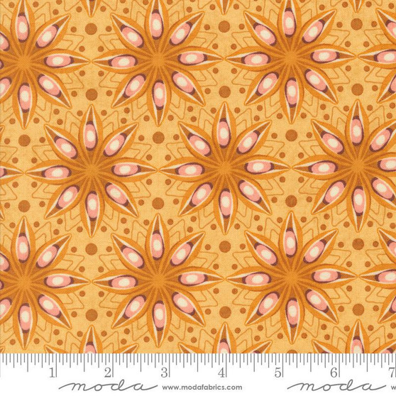 Acorn Hollow 30762 13 One Yard