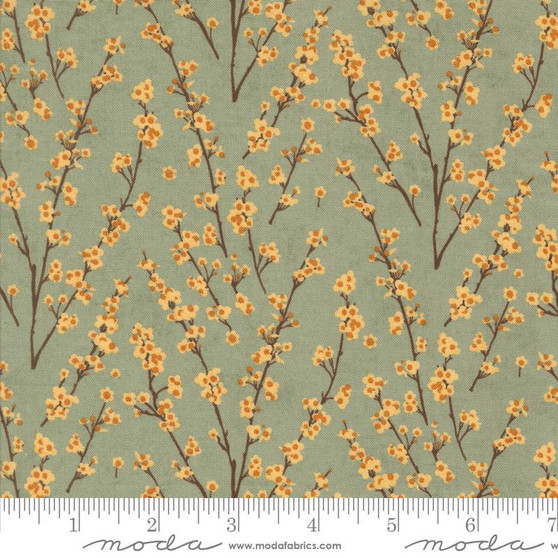 Acorn Hollow 30765 18 One Yard