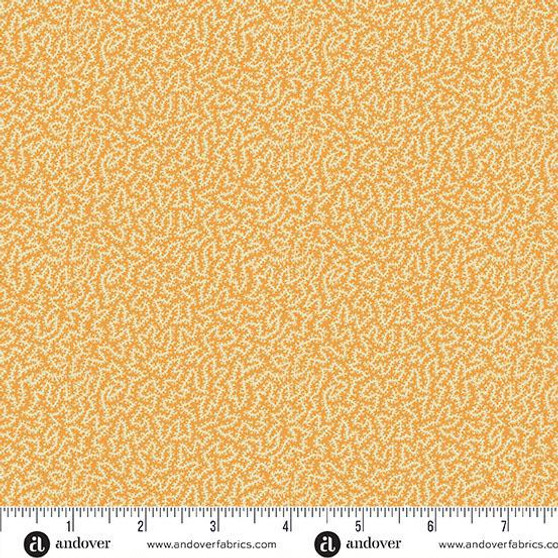 Midnight Moon A-1533-O One Yard