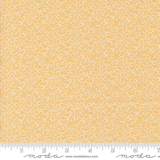 Sally's Stitches 31720 11 One Yard
