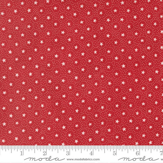 Joyful Gatherings II 49336 12 One Yard PREORDER ($14.49/yard)