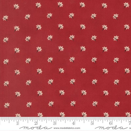 Joyful Gatherings II 49332 13 One Yard PREORDER ($14.49/yard)