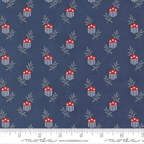 American Gatherings III 49320 14 One Yard