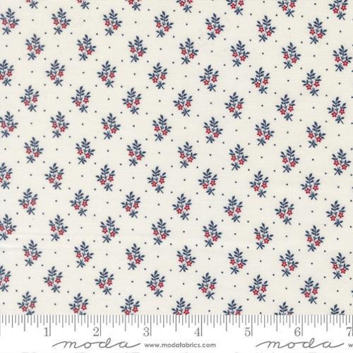 American Gatherings III 49327 11 One Yard