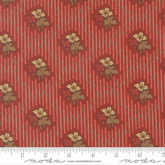 Pamelia's Path 47551 11 One Yard