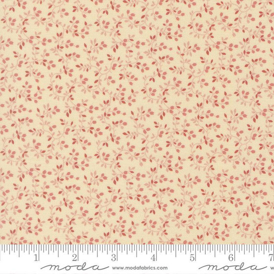 Pamelia's Path 47554 23 One Yard