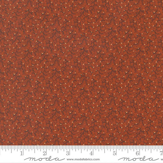 Pamelia's Path 47557 22 One Yard