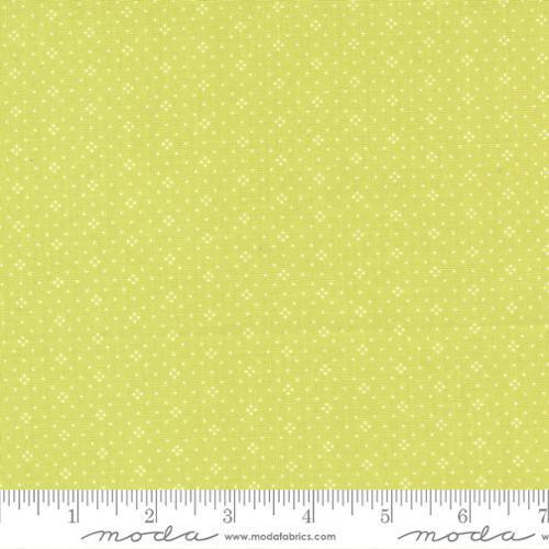 Eyelet 20488 82 One Yard