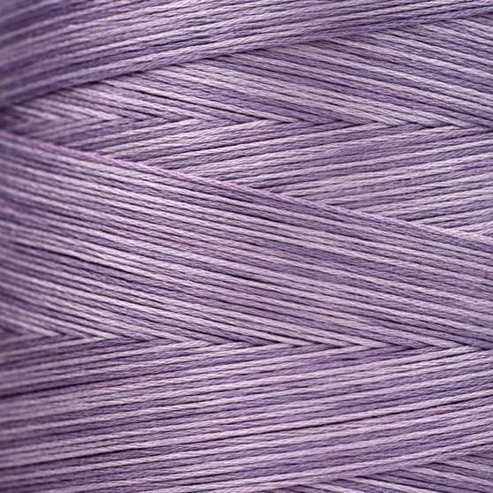 Weeks Dye Works Floss 1312 Catmint-5yds