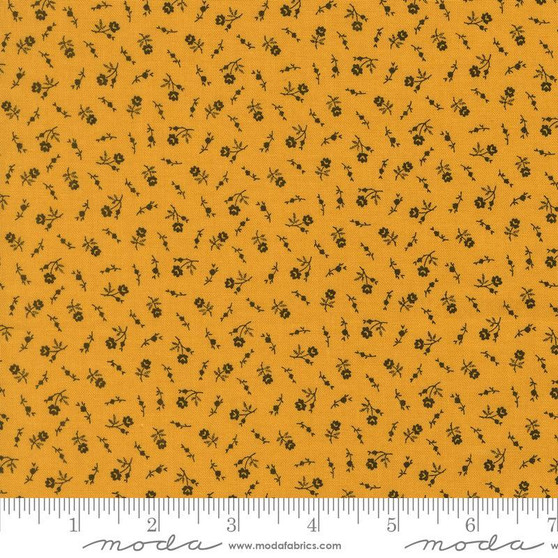 Wildflower Gatherings 49351 20 One Yard PREORDER ($13.49/yard)
