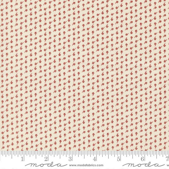 Wildflower Gatherings 49358 11 One Yard PREORDER ($13.49/yard)