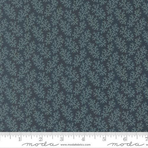 Miss Mollie 47565 20 One Yard