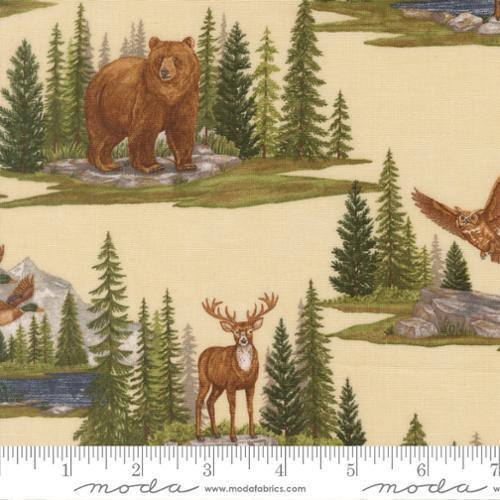 Northwoods Lodge 56190 11 One Yard