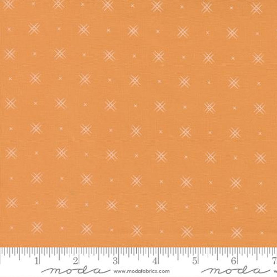 Beyond Bella  16740 162 Apricot One Yard