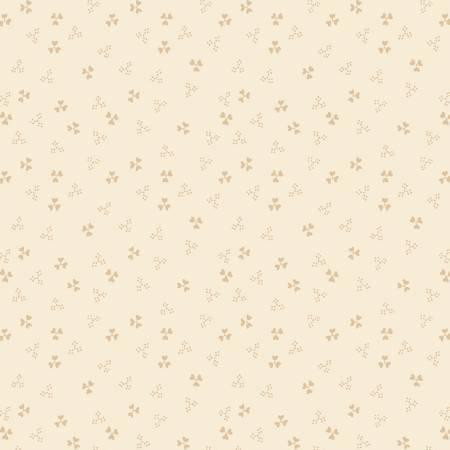 Apple Cider 18 AC1806423 NE One Yard