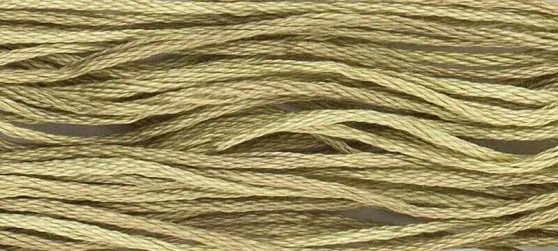 Weeks Dye Works Floss 1194 Broom Tree-5yds