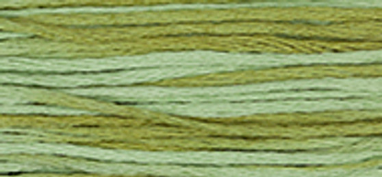 Weeks Dye Works Floss 1191 Dried Sage-5yds