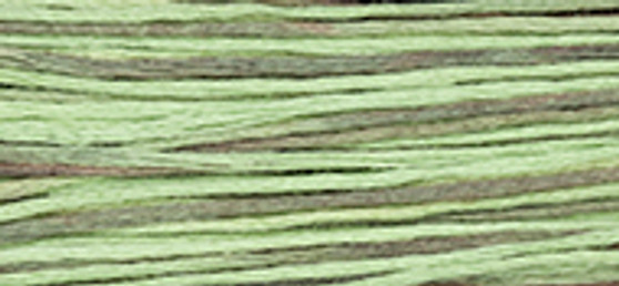 Weeks Dye Works Floss 1181 Cape Cod-5yds